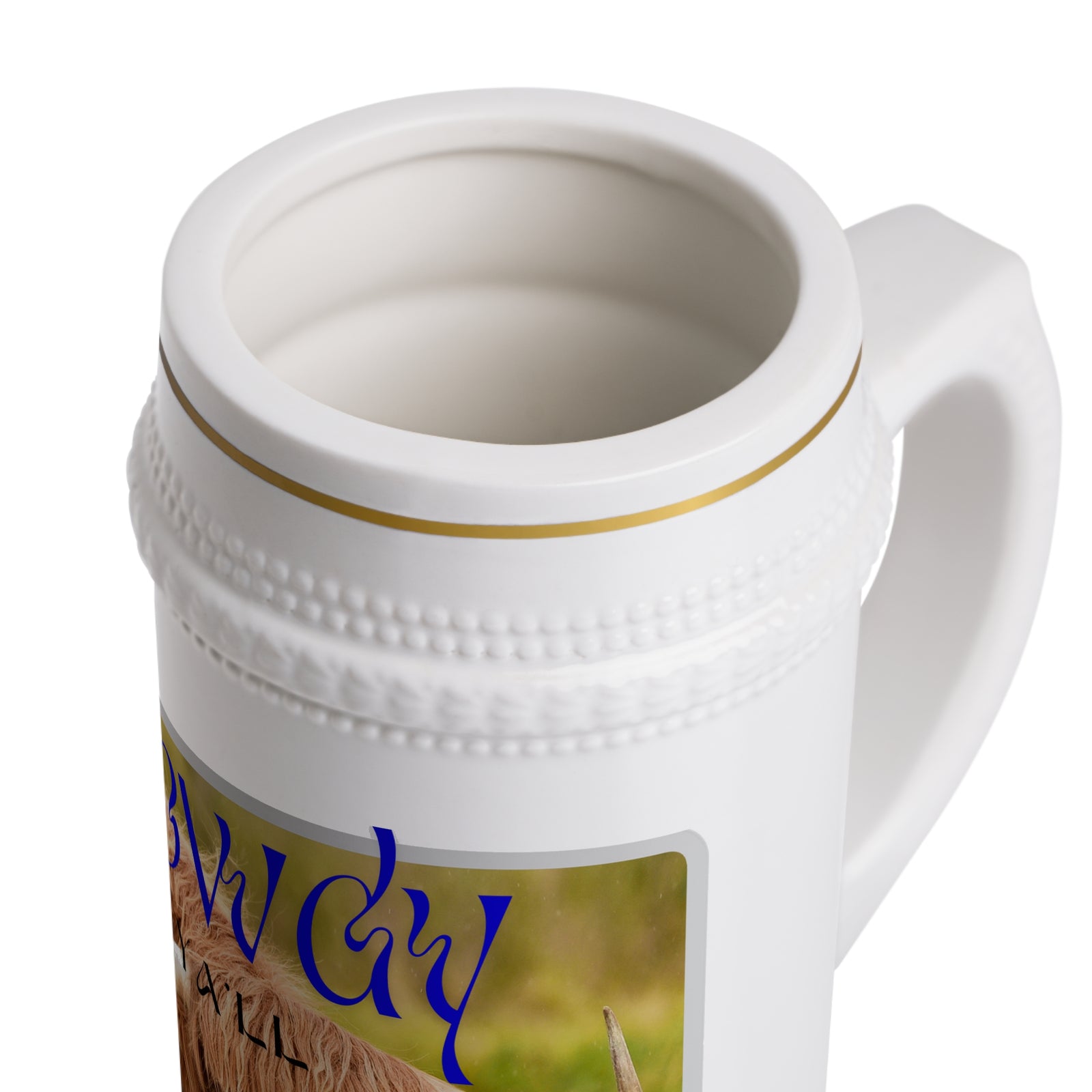 Stein Mug